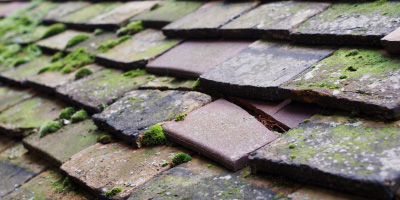 Upper Staploe roof repair costs